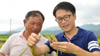 百姓故事丨温崇文：从“收粮人”到“种粮人”，用“金扁担”挑起农户好生活