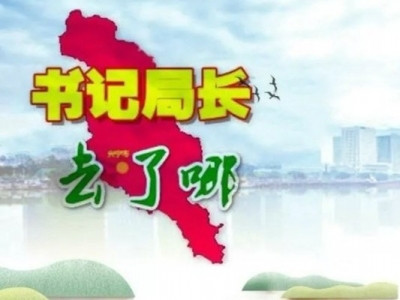 兴宁各镇党委书记、各局局长上周在忙什么？