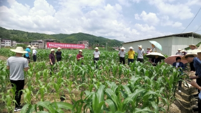 为保农产品质量安全！梅县区举行病虫害防治技术培训会