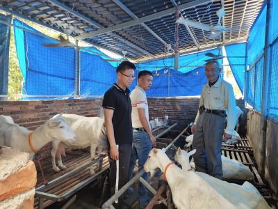 90后扶贫青年丨张亚鹏：我也是农民的儿子，“农民的事无小事” ！