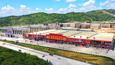 城市发展新名片！红木文化在五华大地开出绚烂之花