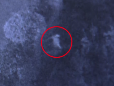 5岁男童掉进琴江河，危急时刻，他纵身一跃…