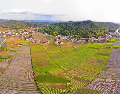 品读平远·程乡