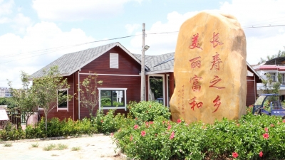 兴宁合水镇大变样！村民：仿佛走进了世外桃源