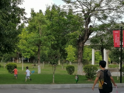 煞风景！践踏草坪、采摘莲蓬...暑期游玩别忘了带上文明~