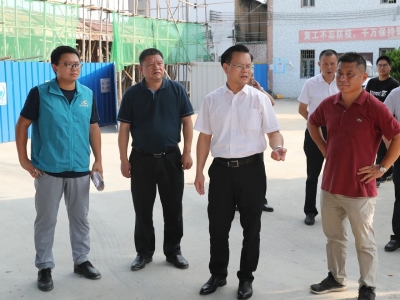 曾永祥率队到汤西镇新岭村调研督导美丽乡村建设推进情况