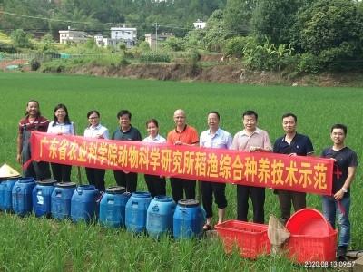 给村民传技术发农资...梅州来了科技特派员