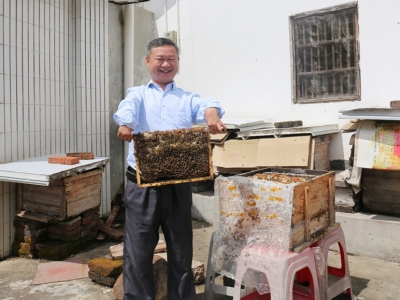 放牛没有出路，他当起了“甜蜜饲养员”！把甜头分给了更多人...