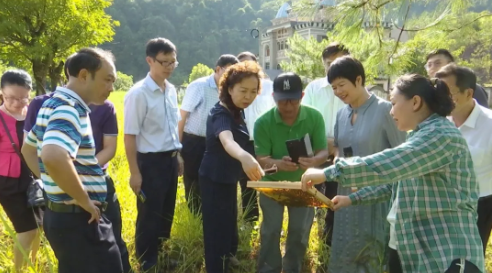 仲恺农业工程学院调研组到蕉岭考察调研
