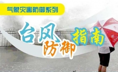 台风来了怎么办？