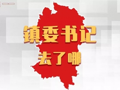 镇委书记去了哪丨平远各镇党委书记，上周在忙什么？