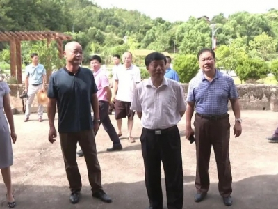 宋才华率队检查指导平远乡村振兴推进工作