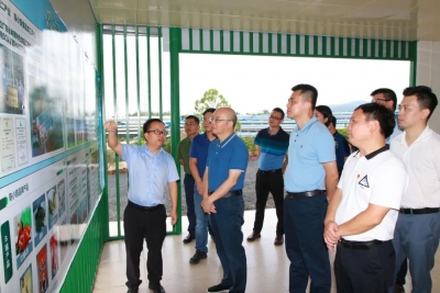 梅州市委组织部一行到兴宁调研乡村振兴、重点项目建设