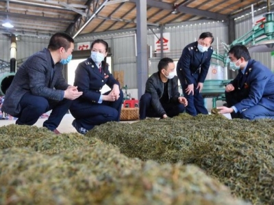关于中国经济，部长权威话丨王军：税收大数据透出经济发展新亮点