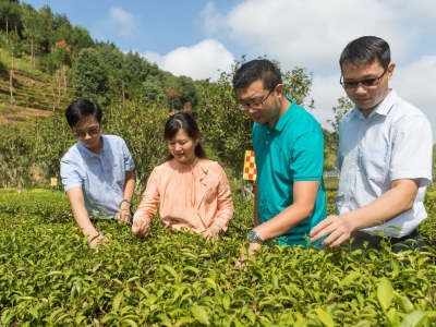 院地共建，让乡村产业“开花结果”！梅州与省农科院探索全新合作模式