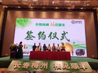 长寿梅州，柚见顺丰！梅州柚发展又有“新动作”