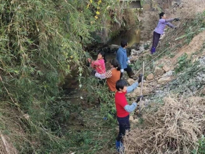 “地票制”消除群众疑虑，“绩效制”增强干部动力！兴宁大坪“三清三拆三整治”成效凸显