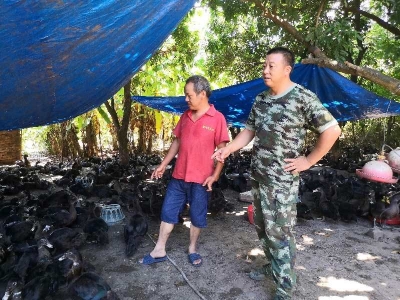 “迷彩绿”托起村民致富梦！兴宁退役老兵变身扶贫尖兵