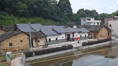 民居修缮活化，让乡愁更浓更绵长！来看平远儒地村的启示...