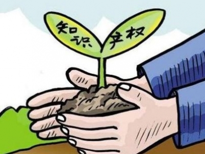虚位以待！梅州市场监管局面向社会公开征集知识产权专家