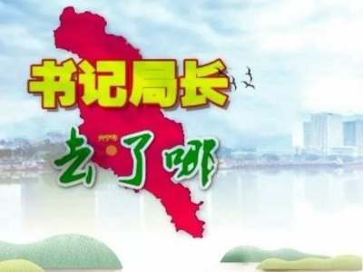 兴宁各镇党委书记、各局局长这周在忙什么？