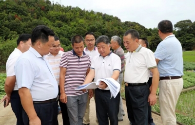 五华龙村圩镇改造和乡村振兴项目推进情况如何？看这里