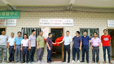 深化乡镇体制改革！丰顺小胜镇5个新委员会10个新党政机构挂牌