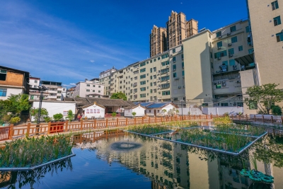 解决群众反映强烈的城乡人居环境问题~蕉岭开展了这场主题活动