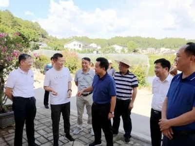 朱汉东到西河镇调研乡村振兴工作：积极培育新业态，打造乡村振兴标杆示范村