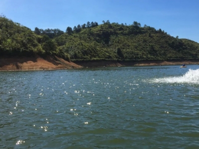 6万余条！五华在这里打造了个优质鲩鱼养殖基地