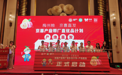 梅州柚与京东京喜“牵手”！产地直发