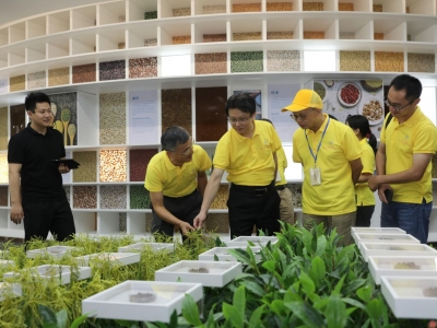 蕉岭县庆祝2020年中国农民丰收节巡展考察活动：看家乡变化、享美好生活