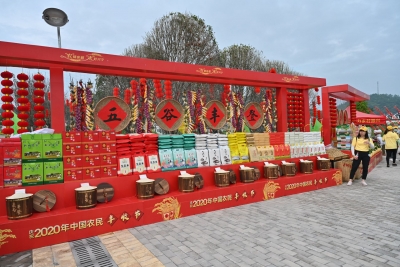 “鸽”肥“柚”惑“米”香~兴宁这样打造“好宝贝”，迈向致富路...