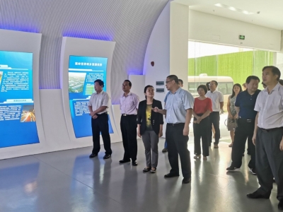 梅州市人大常委会开展执法检查：强化护侨举措，凝聚侨心侨力