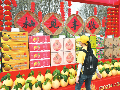 丰收的“味道”不一般！相聚兴宁，共享丰收喜悦...