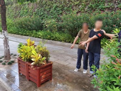 兄弟“组团”偷梅水路花盆，栽了