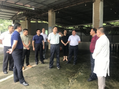 温向芳到梅县区调研生猪产业发展情况：把好猪源关、防疫关、排污关