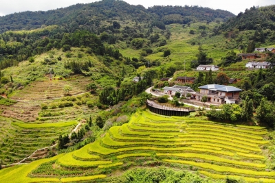 抢抓土地流转新机遇，平远奋力推动“三农”工作再上新台阶~