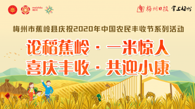 直播回顾丨论稻蕉岭，一米惊人！蕉岭庆祝2020年中国农民丰收节系列活动启动