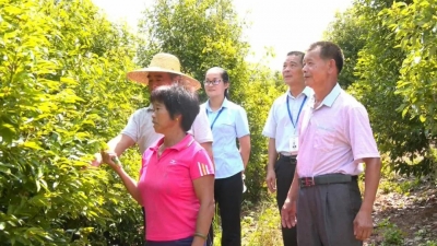 百企帮百村，脱贫加速跑