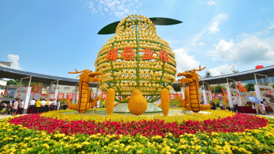 正是江南好风景，柚香时节又逢君！擦亮柚乡品牌，梅县区这样做→