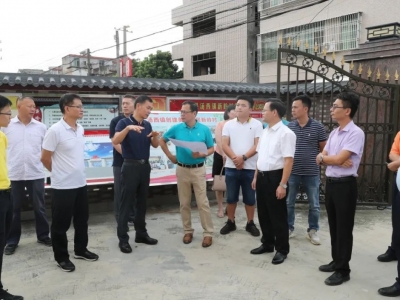 杨细平到丰顺新岭村调研：努力把乡村振兴的美好蓝图变为现实