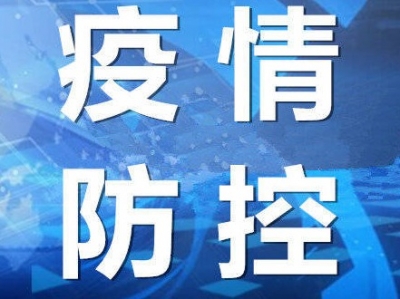 2名回国人员窜改核酸检测报告 使馆已通报公安部门 将追究法律责任