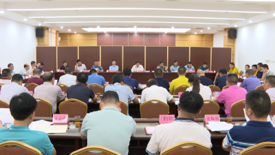 兴宁市政府审议通过一批重要事项