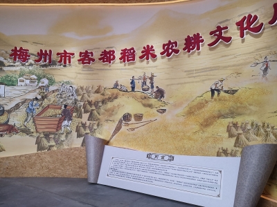 梅州市客都稻米农耕文化展示中心揭牌！来看客都米的前世今生…