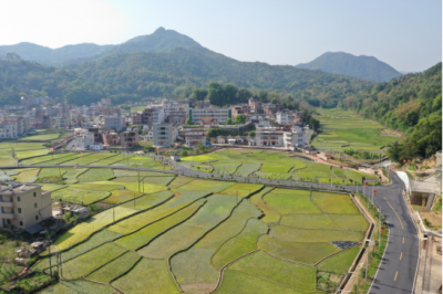 丰收啦！丰顺邀您参加这场庆祝“party”！