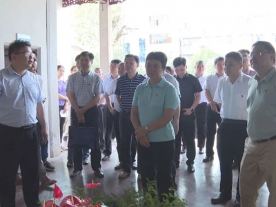 五华县教育考察团一行到蕉岭学习考察 深化交流互动 推动教育高质量发展