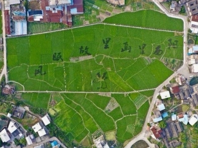 聚焦全会丨支持西阳等9个中心镇改革，打造美丽城镇样板