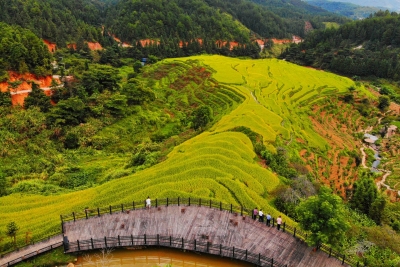 美了乡村，富了百姓！平远这样闯出三农“六变”之路