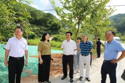 朱汉东到茶阳镇调研时强调：紧盯目标 克服困难 全力加快推进项目建设